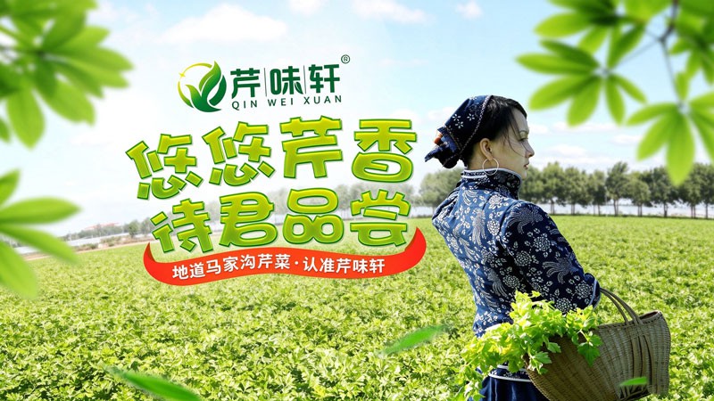 蓝豚电商助力店铺长效增长